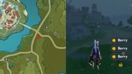 Berry spawn near Mondstadt city (Image via HoYoverse)